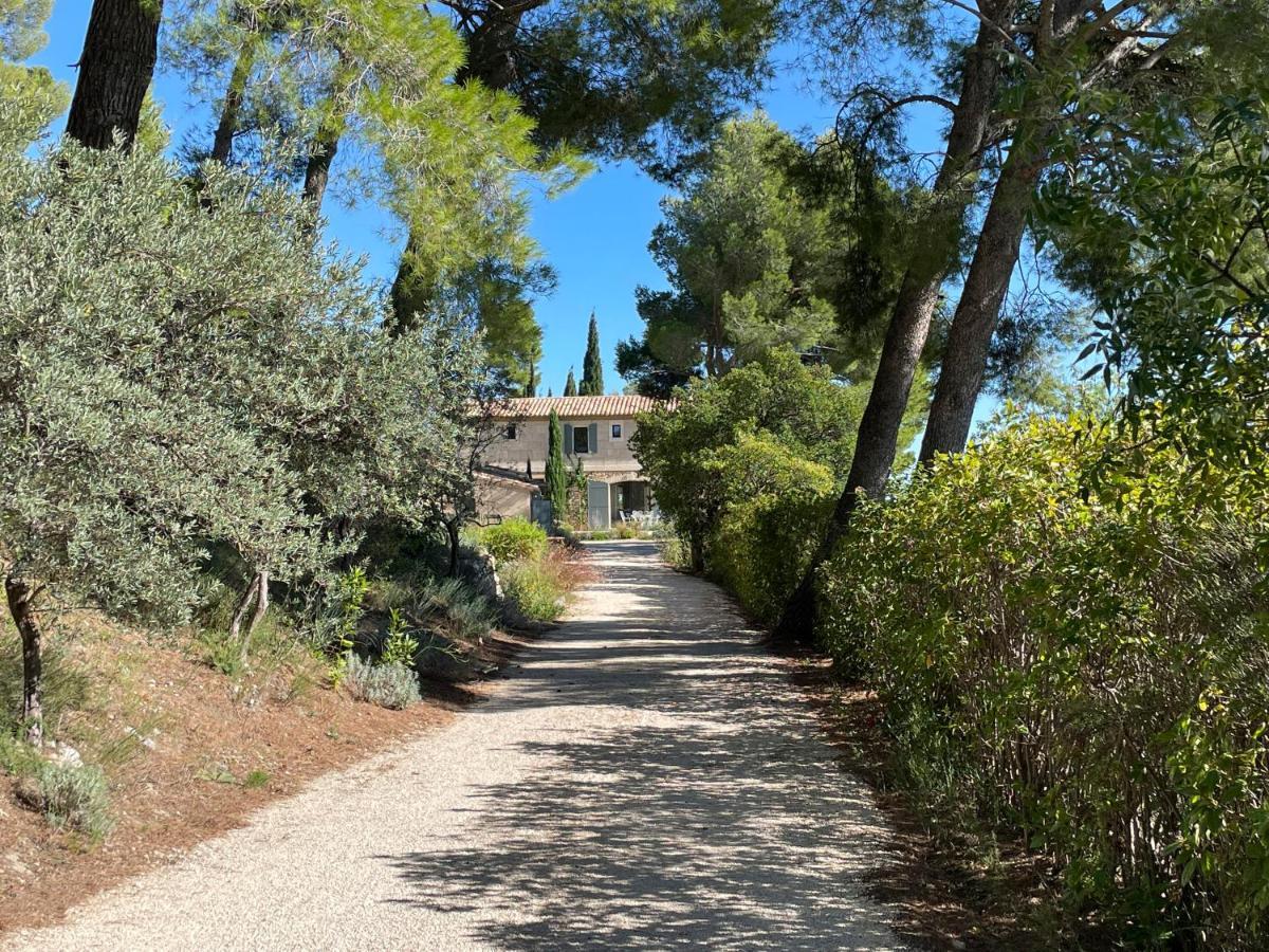 Angelou Maussane les Alpilles